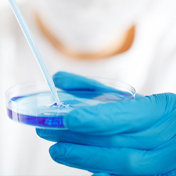 规范、品控管理